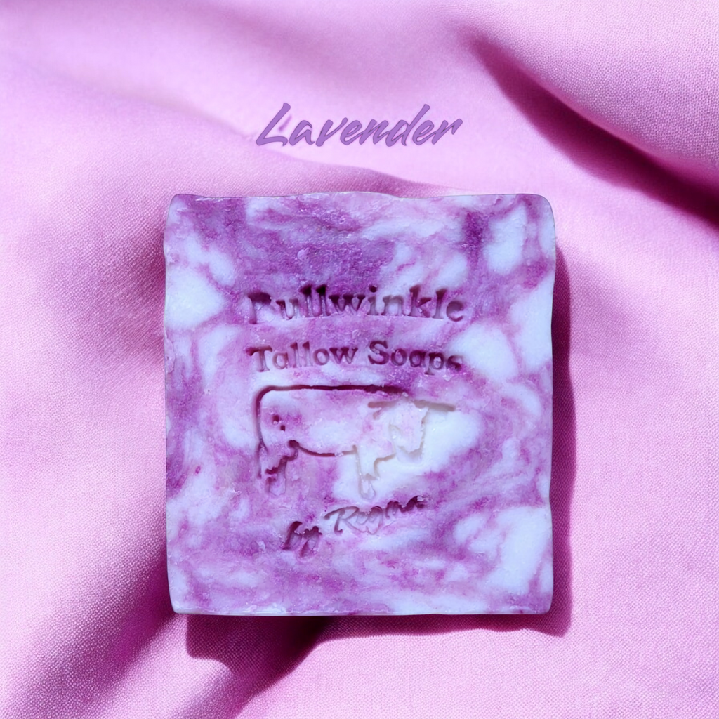Shampoo & Body Bars made with Beef Tallow