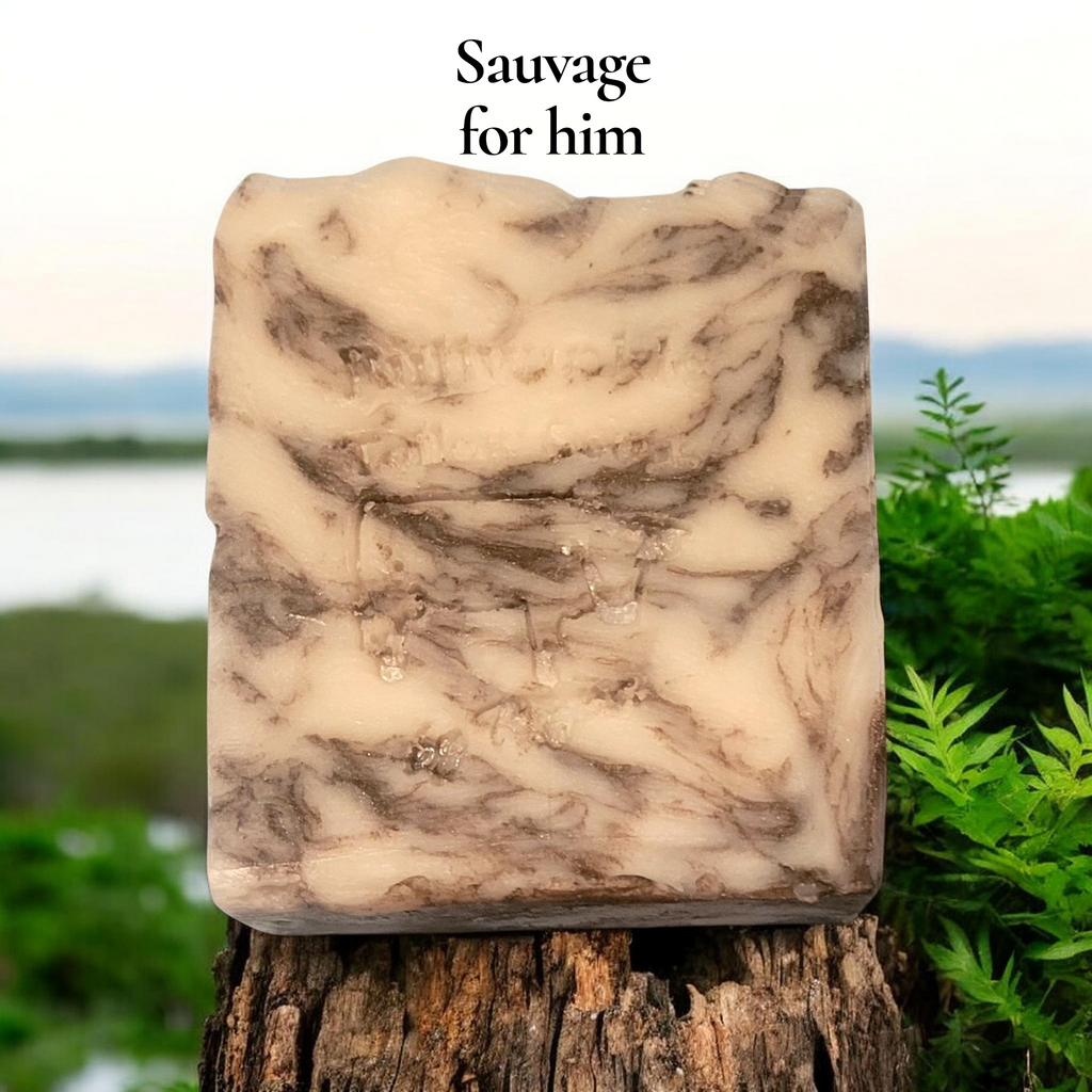 Shampoo & Body Bars made with Beef Tallow